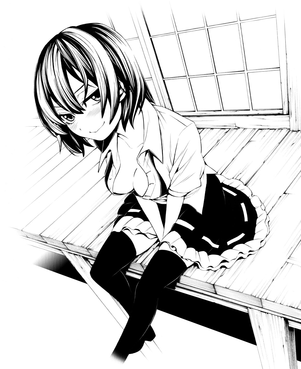 черно белая картинка аниме девушка shameimaru_aya